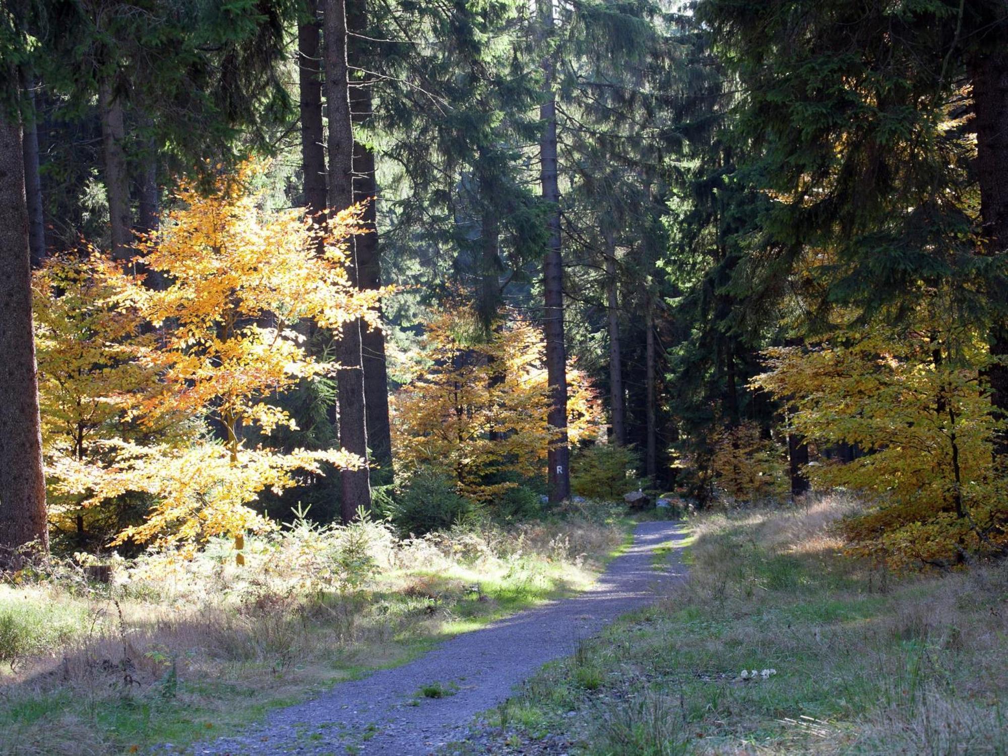 Apartment In Heubach In The Forest Gießübel 外观 照片